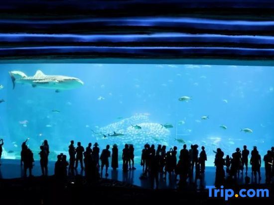 Чжухай: Aust Hotel Apartment (Gongbei Port Lovers Road)