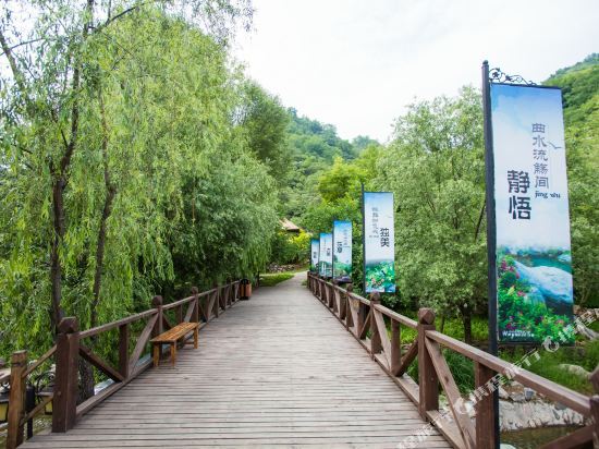 Шицзячжуан: Wuyue Xigu Bird 五岳溪谷Nest Apartment Hotel