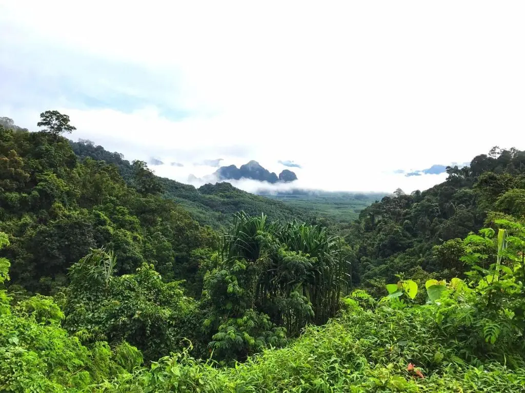 Фаном: Khao Sok Homestay Resort