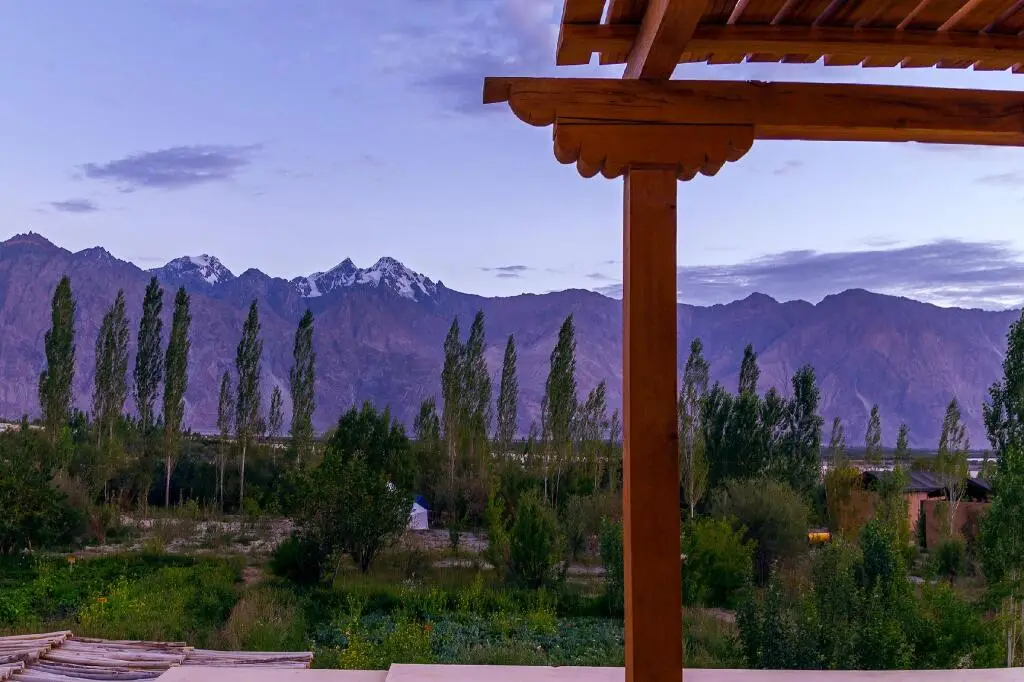 Nubra Ecolodge — фото 1
