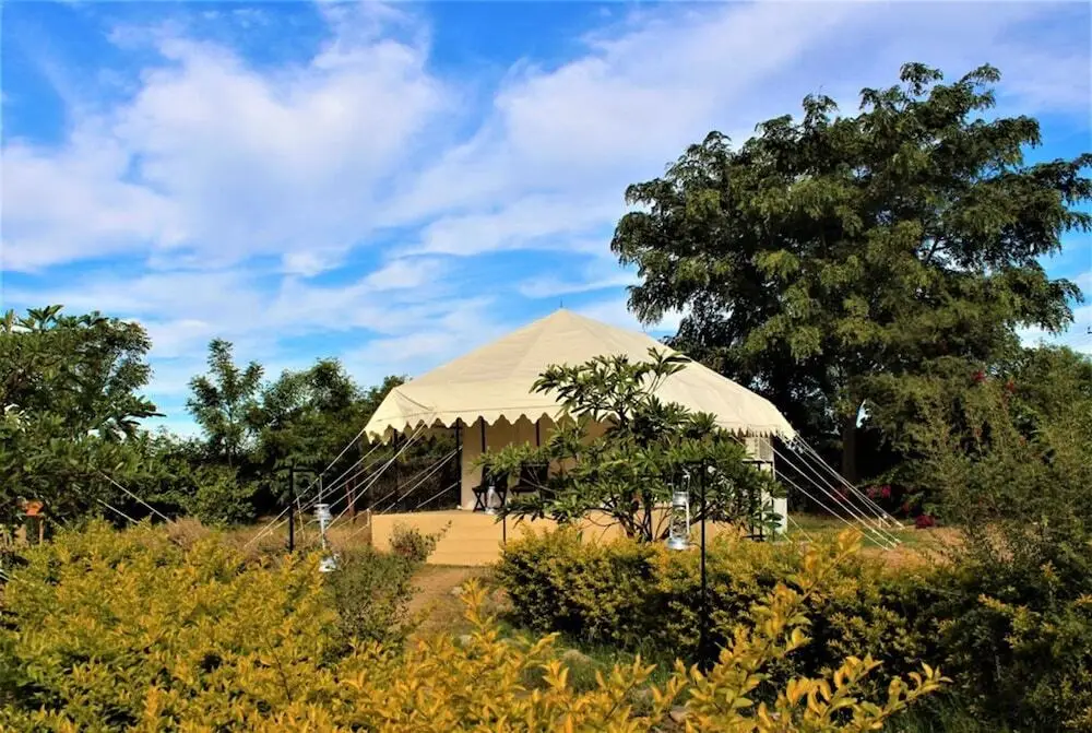 Бера: Varawal Jawai Leopard Safari Camp