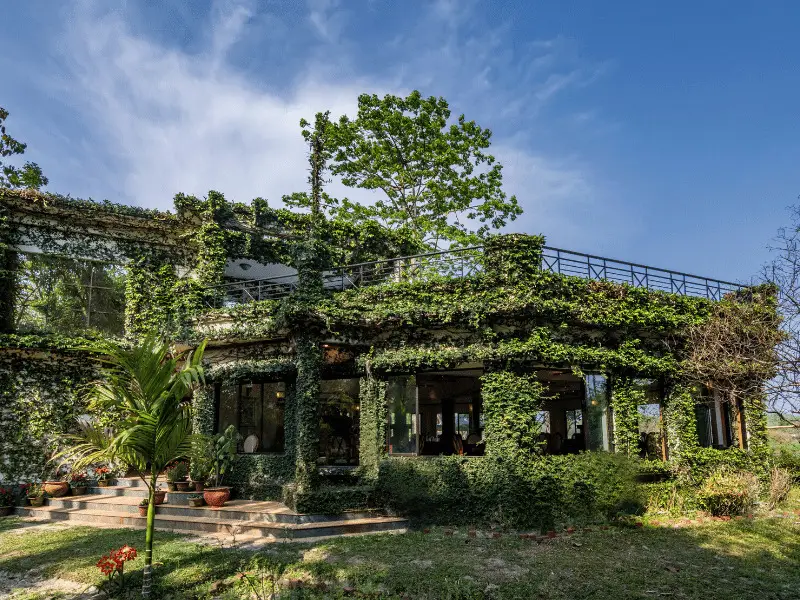 The Riverwood Forest Retreat- Dooars — фото 1