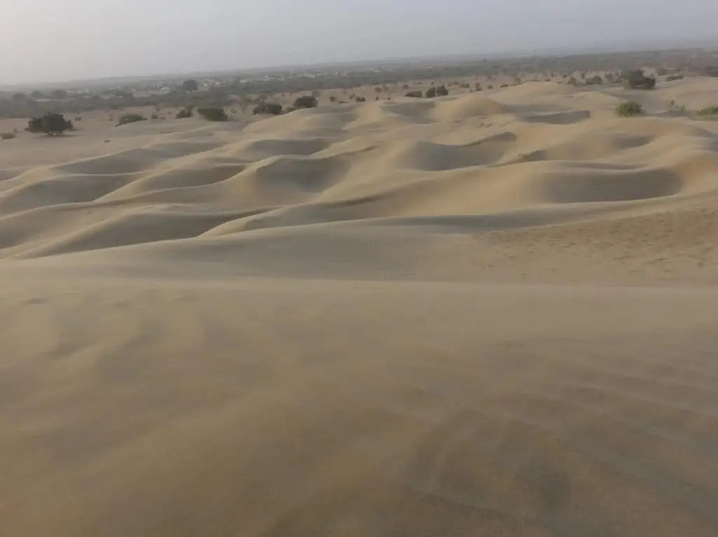 Кхури: Chandani Desert Resort and Camp