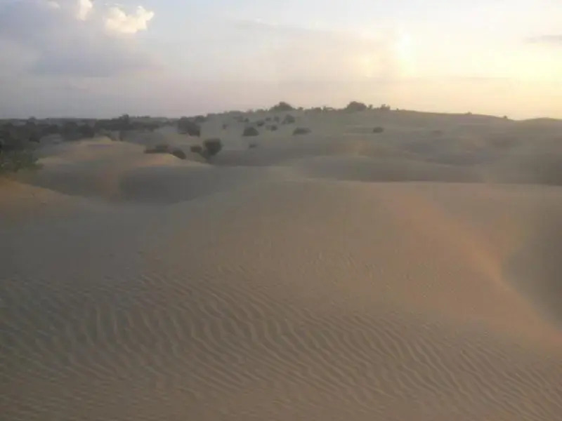 Кхури: Chandani Desert Resort and Camp