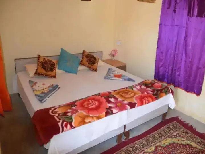 Кхури: Chandani Desert Resort and Camp