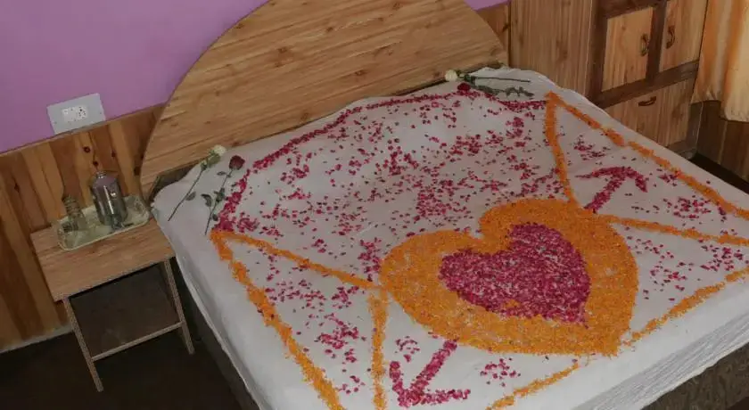 Манали: Rudra Holidays Hotel