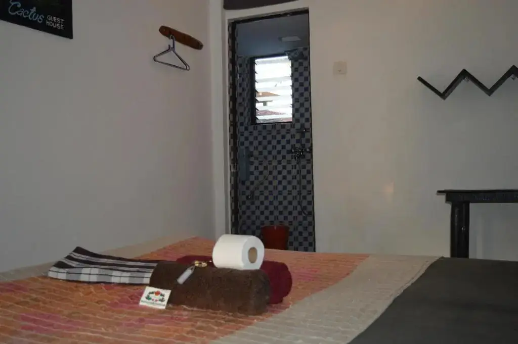 Арамбол: Cactus Guesthouse