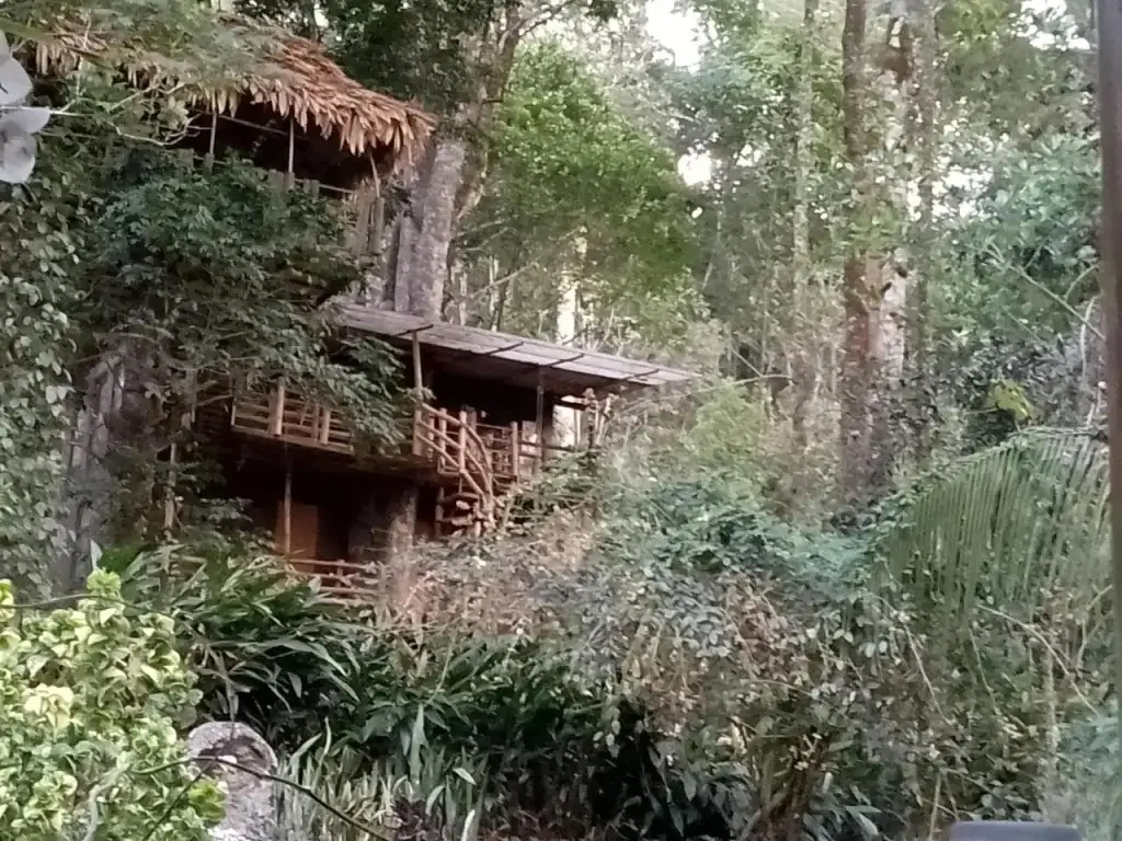 Муннар: Jungle Jive Tree House Munnar