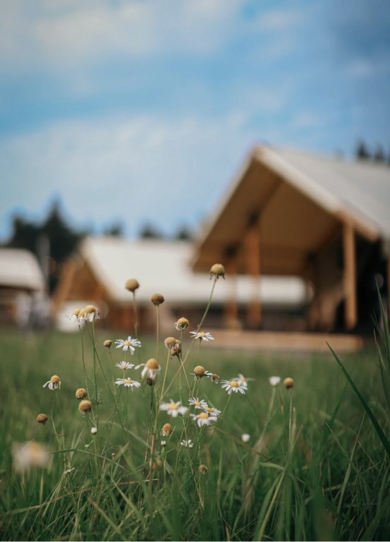 Силино: Глэмпинг A-Glamp