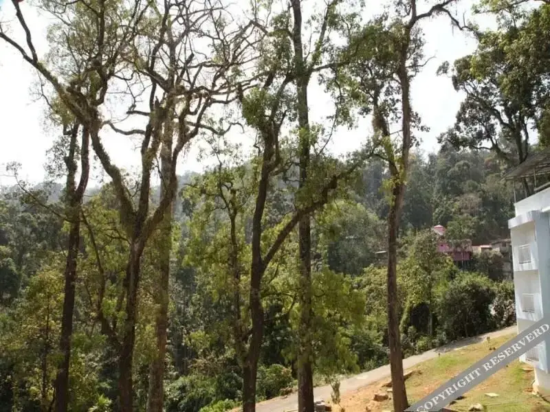 Муннар: Munnar Black Forest Resort