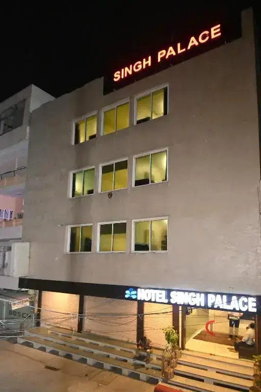 Hotel Singh Palace — фото 1