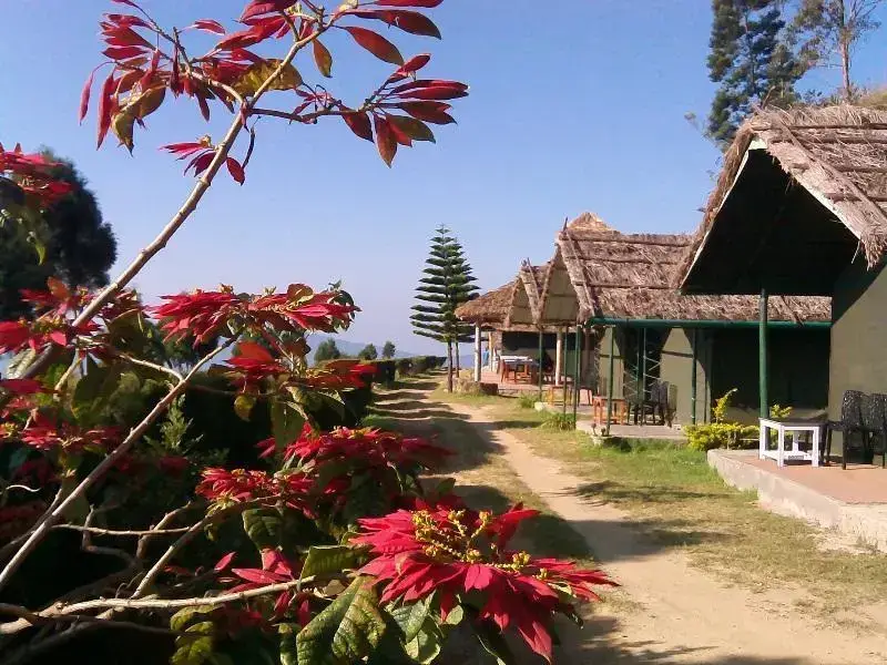 Anaerangal Camp — фото 1