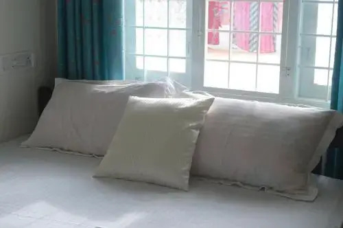 Коччи: The Pod Cochin Homestay