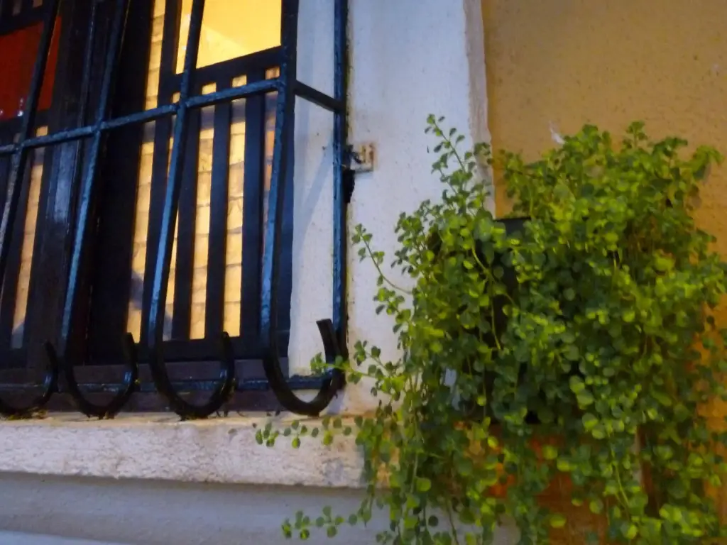 Панаджи: Afonso Guest House