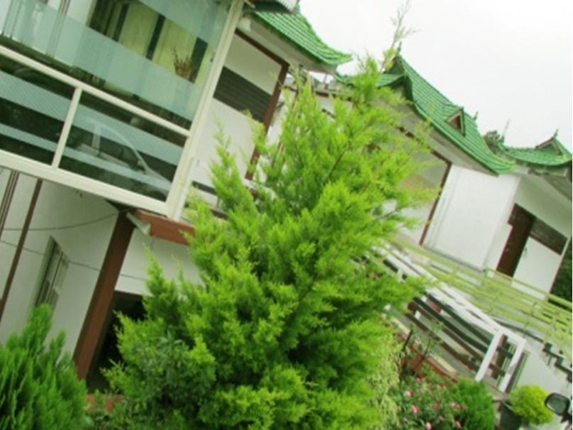 Green Trees Resort — фото 1