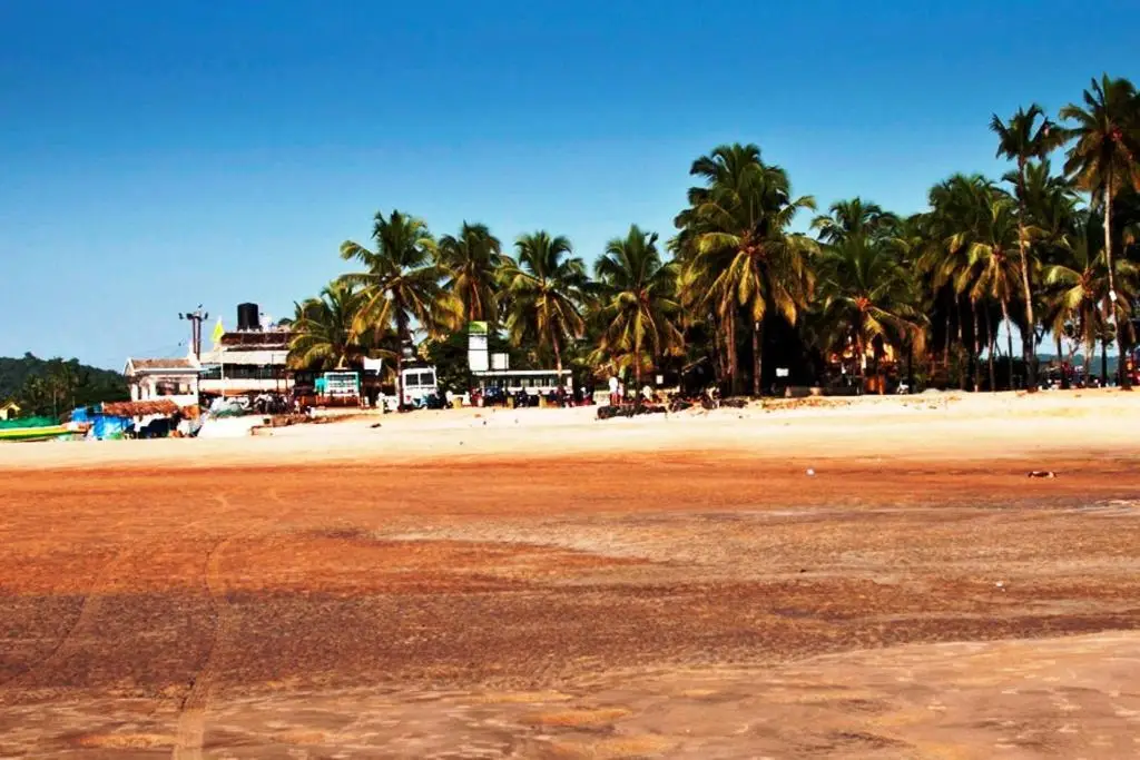 Бага: Baga Beach Home