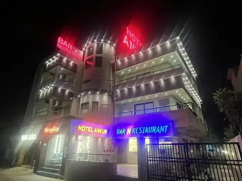 Hotel Ankur — фото 1