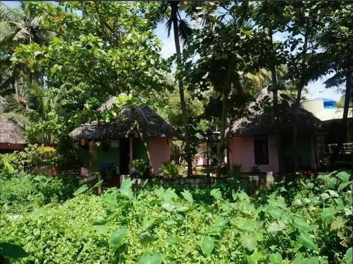 Варкала: Marina Cottage