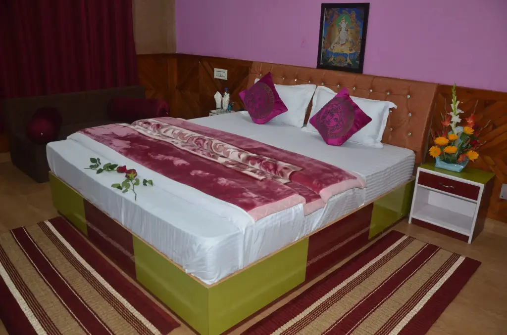 Дармсала: Hotel City Plaza