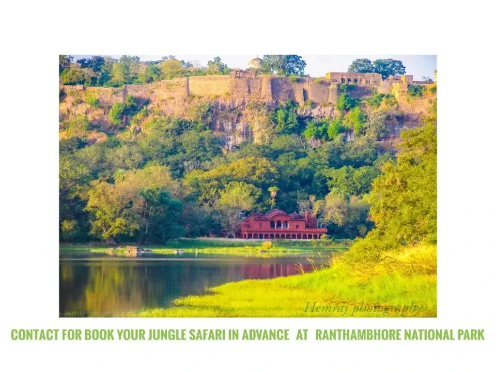 Савай-Мадхопур: Ranthambore Tiger Home
