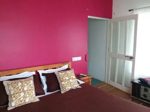 Пушкар: Hotel U-Turn