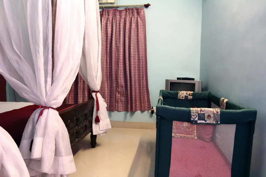 Джайпур: Hotel Bluebell Mandela House