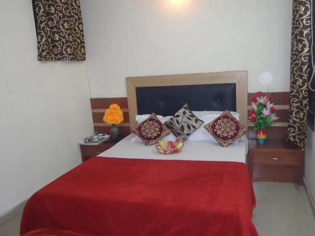 Нью-Дели: Hotel Darpan Palace