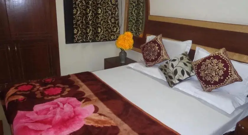 Нью-Дели: Hotel Darpan Palace
