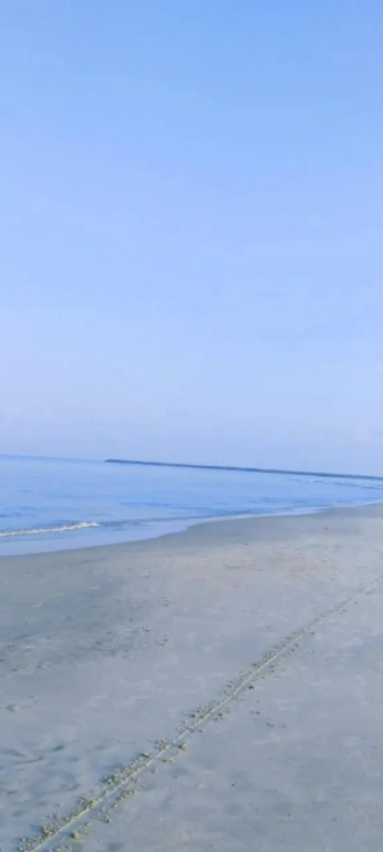 Cherthala: Marari Arthunkal Beach Villa