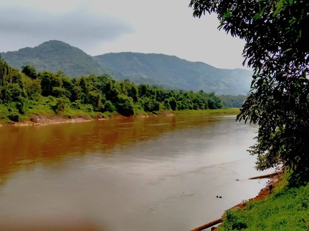 Атирапалли: Amritara Riverside Camp, Thattekad