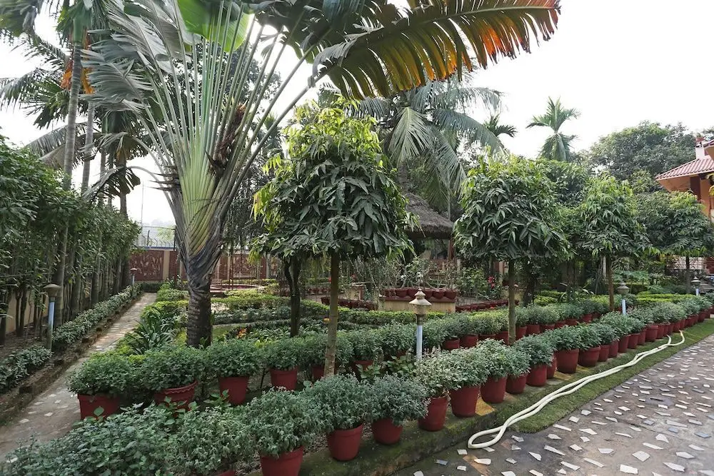 Rater Tara Diner Rabi by OYO Rooms — фото 1