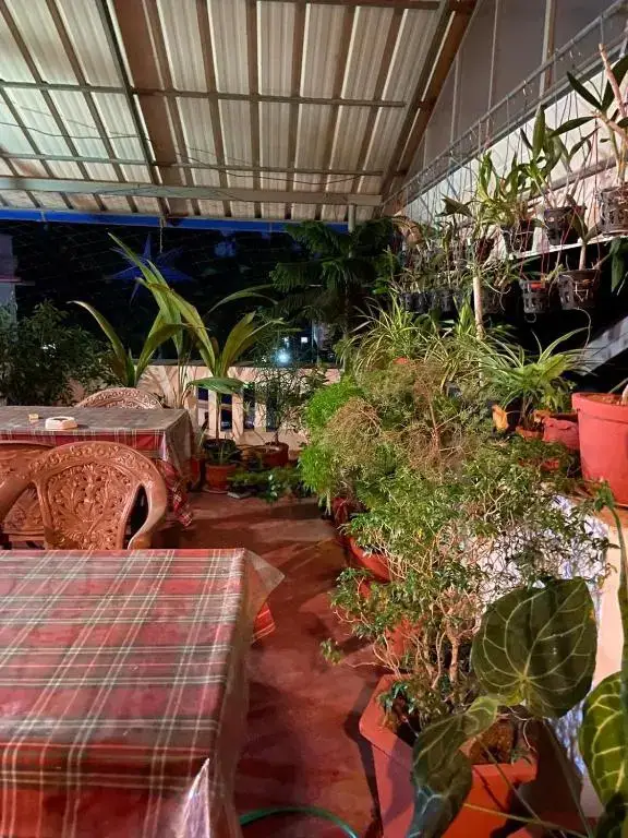 Коччи: Gloria Homestay
