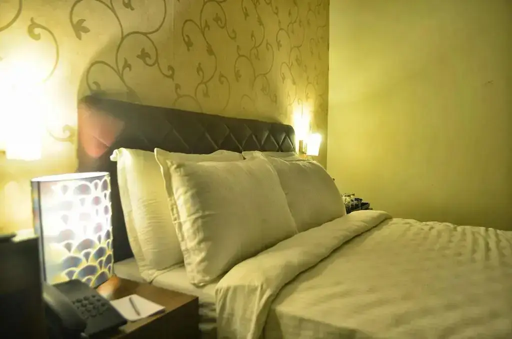 Тируваннамалай: Hotel Arunachala