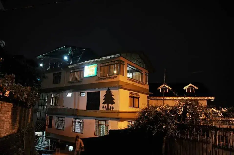Juniper Tree Hotel — фото 1