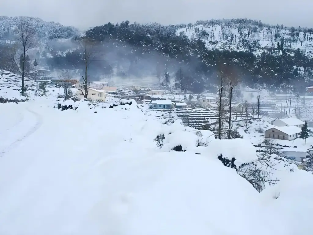 Мунсьяри: Goroomgo Pandey Lodge Munsiyari