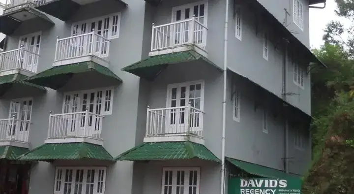 Муннар: Davids Regency