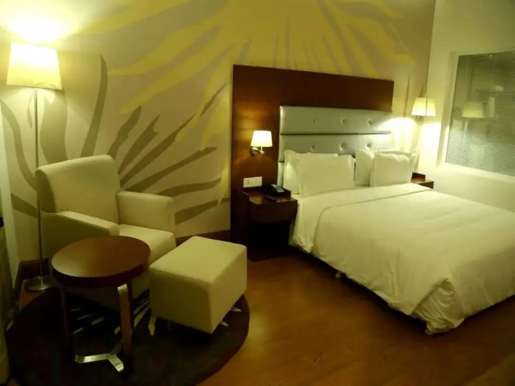 Ченнаи: Hotel Abu Palace - Chennai