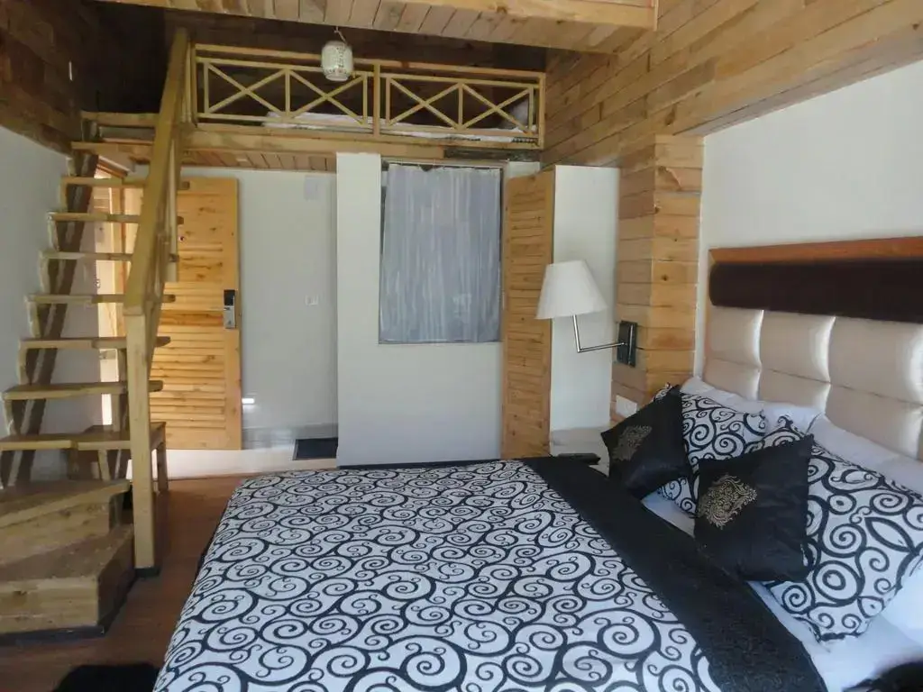 Манали: Swiss Wood Hotel