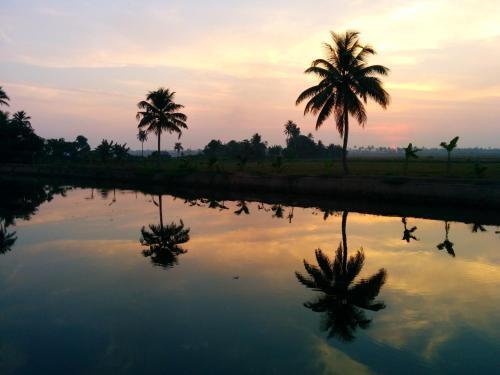 Мухамма: 1515 Mepra House Alleppey