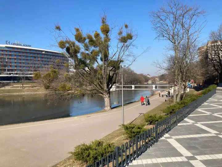 Калининград: Апартаменты Bellevue
