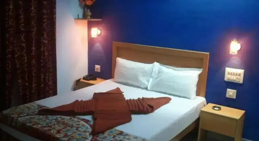 Майсур: Palace Guest House