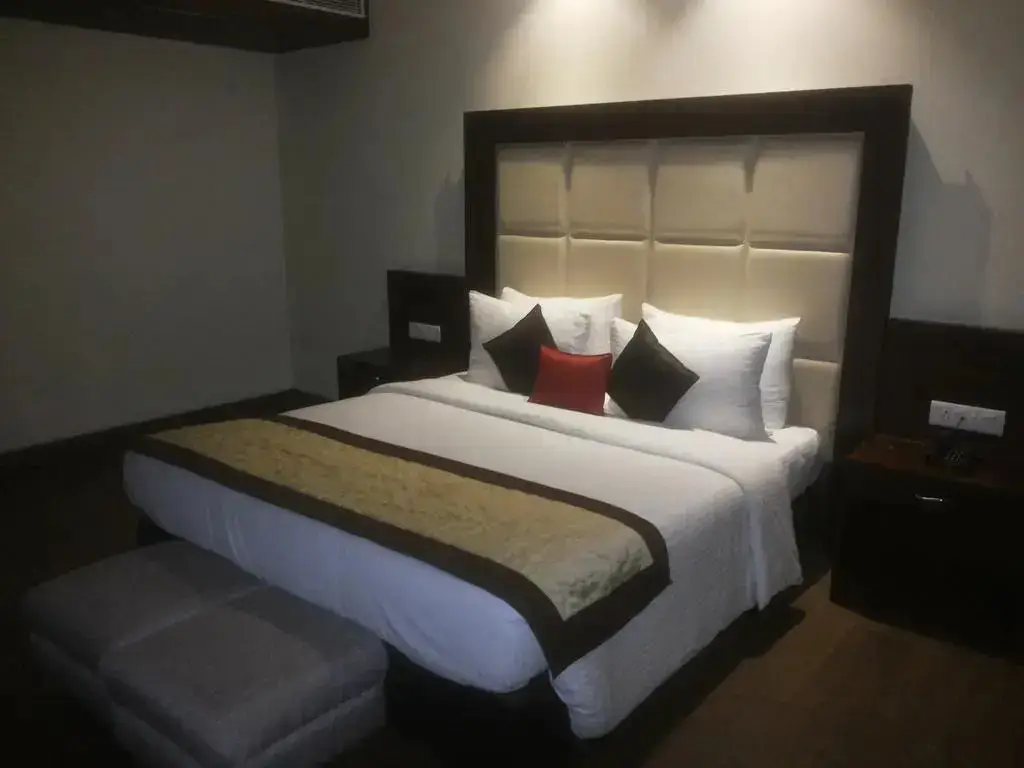 Хошиарпур: Hotel Amber Residency
