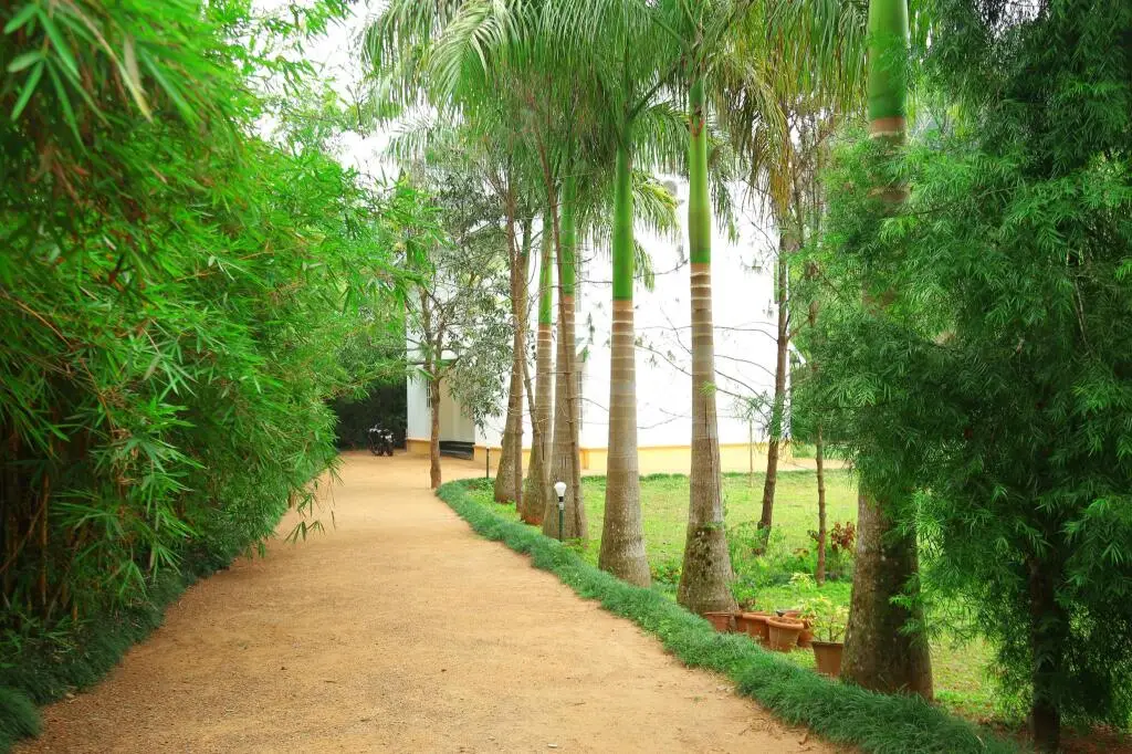 Vythiri Greens Resort — фото 1