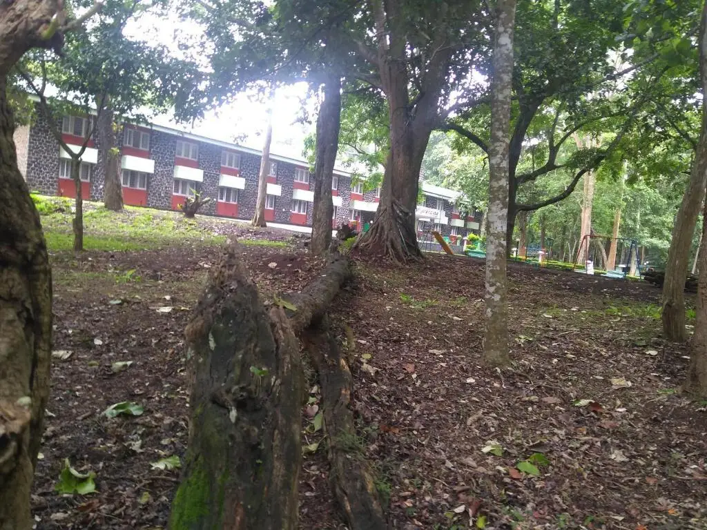 Periyar House — фото 1
