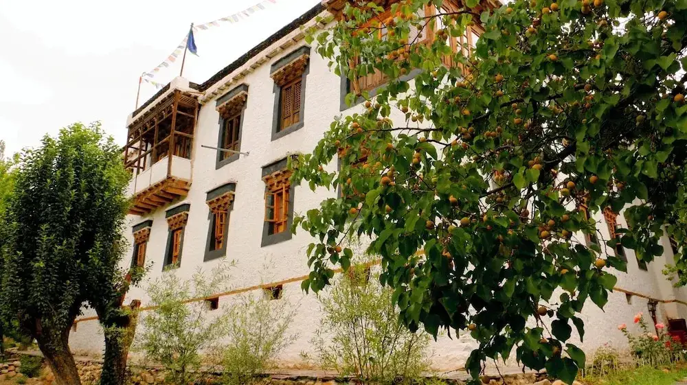 Nimmu House Ladakh — фото 1