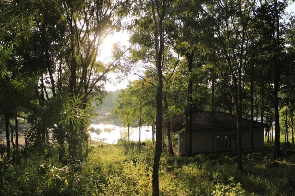 Wild Chalet Resort — фото 1
