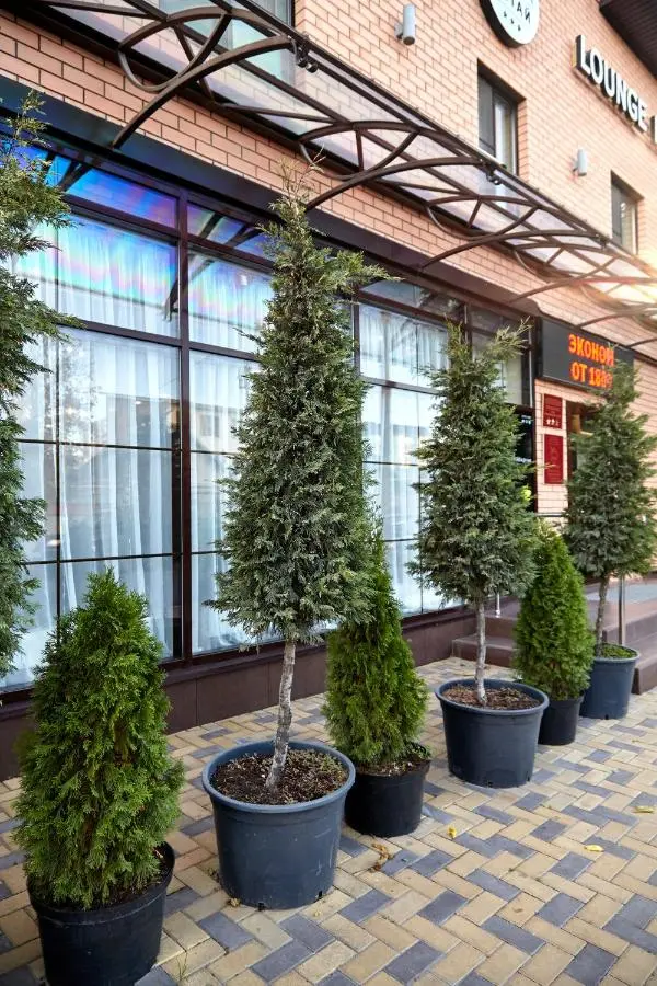 Краснодар: Hotel Altay