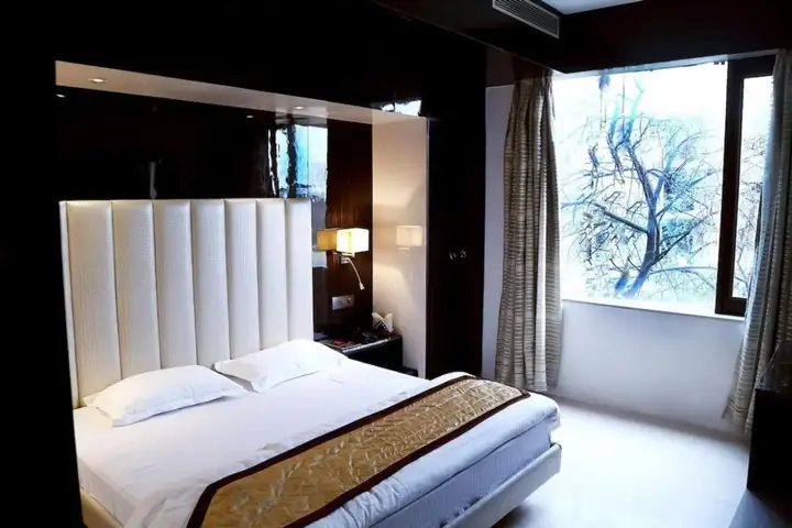 Амбала: Hotel Puran Palace