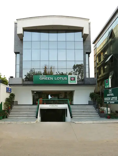 Green Lotus — фото 1