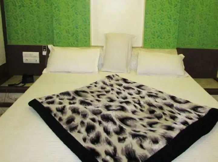 Джайпур: Hotel Metro Jiapur